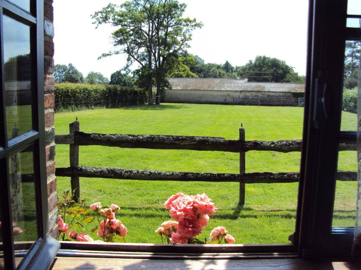 La Pastorale Bed & Breakfast La Puisaye ภายนอก รูปภาพ