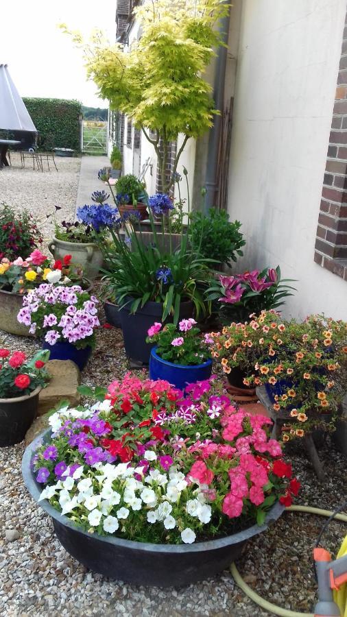 La Pastorale Bed & Breakfast La Puisaye ภายนอก รูปภาพ